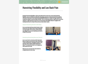 Lumbar Hamstring Flexibility and Low Back Pain.pdf