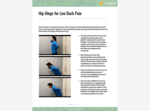 Hip Hinge for LBP.pdf