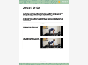 Segmental Cat-Cow.pdf