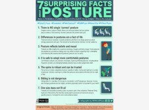 posture Facts